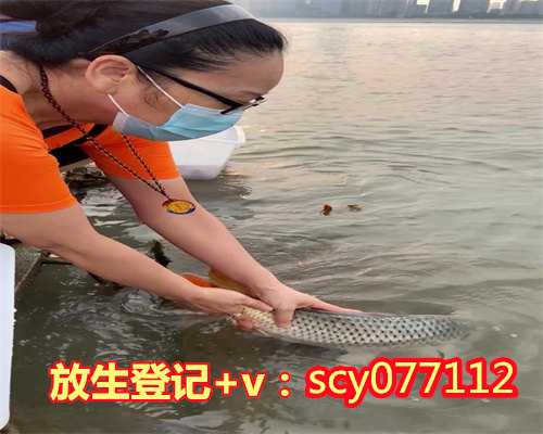 南京河放生地点，南京渔民捕获1米多长“胭脂鱼王”已就地放生