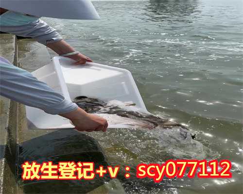 天津放生鱼的视频，天津华盛寺组织观看红色电影《长津湖》