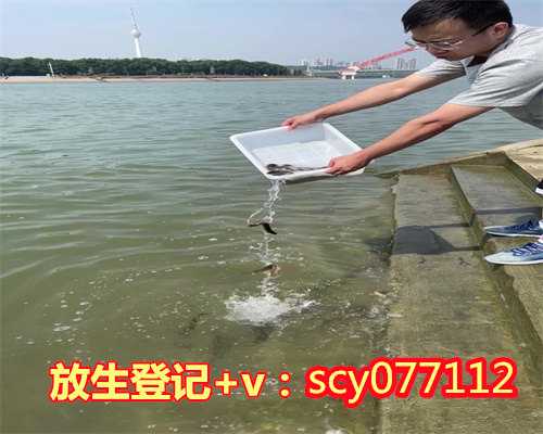 梅州鱼苗放生意义,梅州哪里放生淡水鱼,梅州放生泥鳅