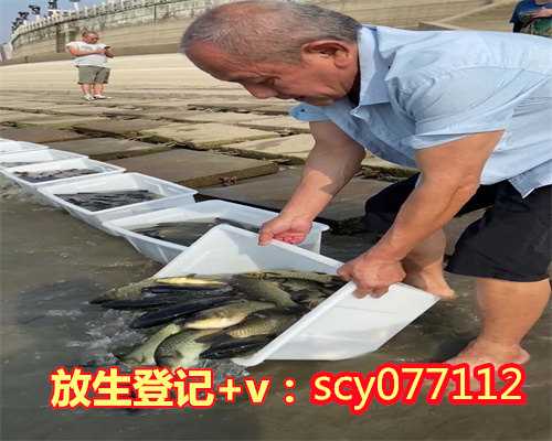 广州放生黑鱼在哪里，广州有哪些岭南特色文化？