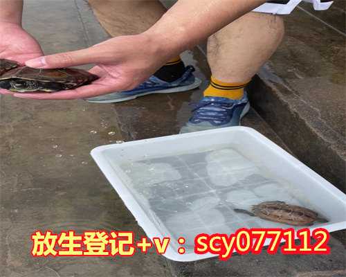 梅州鱼籽放生方法，梅州哪里可以放生螺蛳呢，梅州放生地点公布